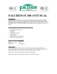 FALCHEM FC100 ANTI SCAL