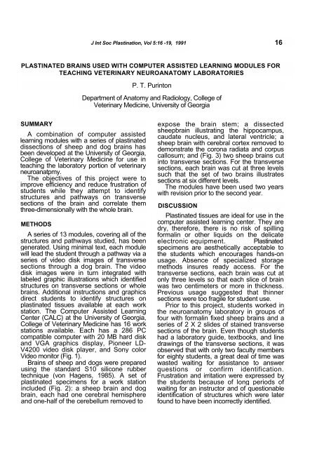 Plastinated brains used with computer assisted learning modules for ...