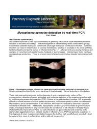 Mycoplasma Synoviae Fact Sheet - Veterinary Diagnostic Laboratory