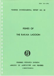 THE RAKAIA LAGOON