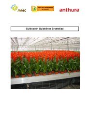 Cultivation Guidelines Bromeliad