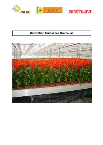 Cultivation Guidelines Bromeliad