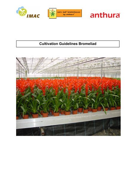 Cultivation Guidelines Bromeliad