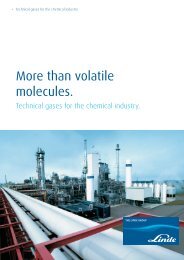 Technical Gases for the Chemical Industry