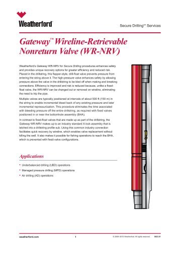 Gatewayâ„¢ Wireline-Retrievable Nonreturn Valve (WR-NRV) -A4