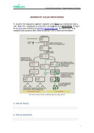 diversitat de cicles infecciosos