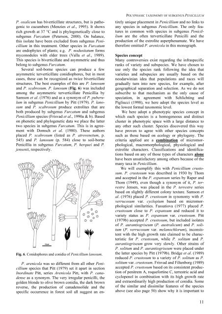 Polyphasic taxonomy of Penicillium subgenus Penicillium A ... - CBS