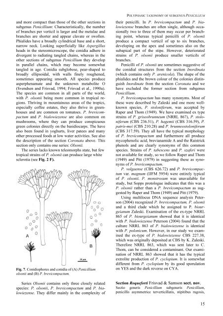 Polyphasic taxonomy of Penicillium subgenus Penicillium A ... - CBS