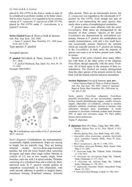 Polyphasic taxonomy of Penicillium subgenus Penicillium A ... - CBS