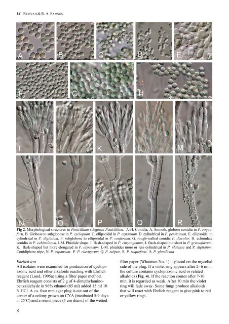 Polyphasic taxonomy of Penicillium subgenus Penicillium A ... - CBS