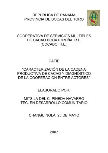 Informe final Cadena productiva PanamÃ¡ - Catie