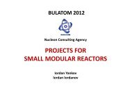 PROJECTS FOR SMALL MODULAR REACTORS