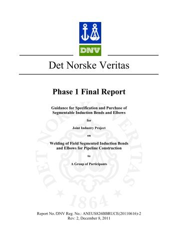 Field Segmented Fittings - dnV