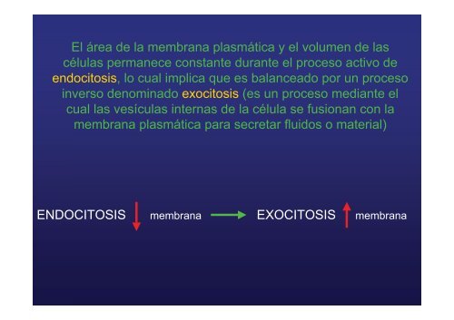 endocitosis mediada por receptor