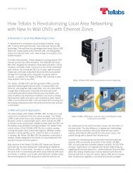 How Tellabs Is Revolutionizing Local Area Networking with New In ...