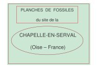 Planches d'identification des fossiles de La Chapelle en Serval