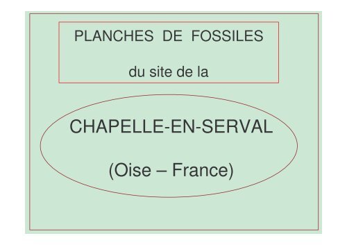 Planches d'identification des fossiles de La Chapelle en Serval