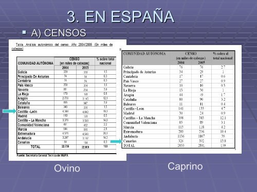 OCM Ovino y Caprino - Universidad de Castilla-La Mancha