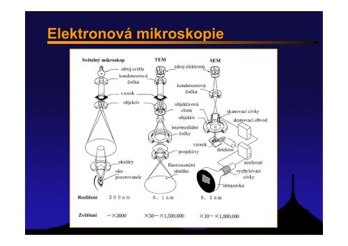 Elektronový mikroskop