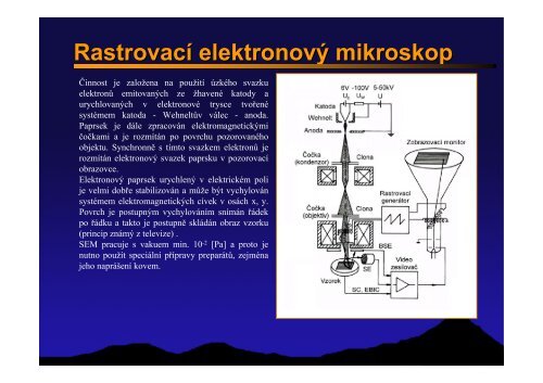 Elektronový mikroskop