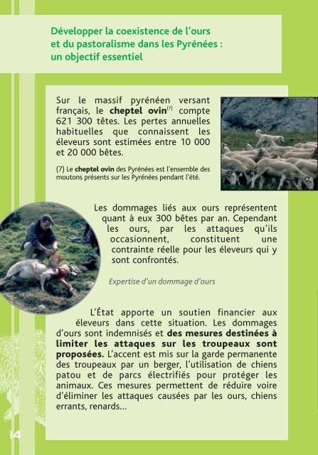 DIREN-plaquette ours:Mise en page 1 - DREAL Midi-Pyrénées