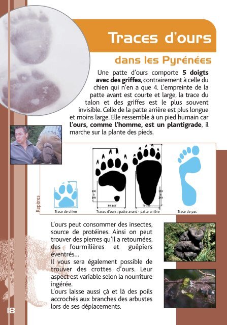DIREN-plaquette ours:Mise en page 1 - DREAL Midi-Pyrénées