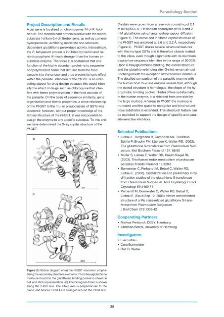 Research Group Heussler (Malaria I) - Bernhard-Nocht-Institut für ...