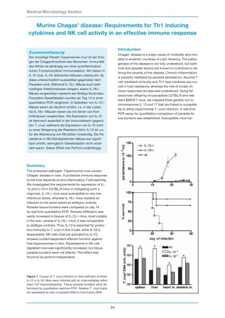 Research Group Heussler (Malaria I) - Bernhard-Nocht-Institut für ...