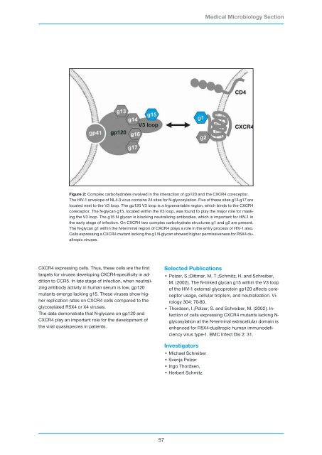 Research Group Heussler (Malaria I) - Bernhard-Nocht-Institut für ...