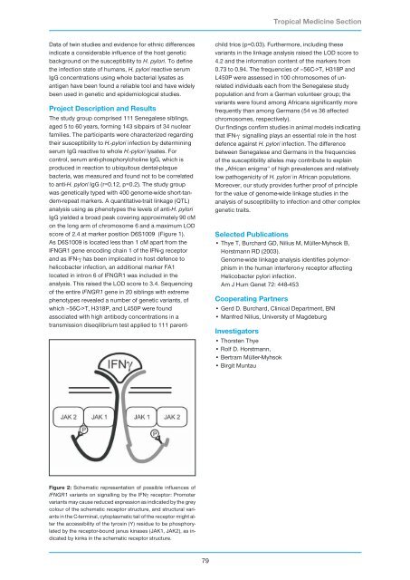 Research Group Heussler (Malaria I) - Bernhard-Nocht-Institut für ...