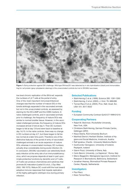 Research Group Heussler (Malaria I) - Bernhard-Nocht-Institut für ...