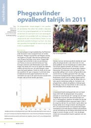 Phegeavlinder opvallend talrijk in 2011 (Vlinders ... - Vlindernet