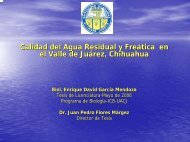 Calidad del Agua Residual y FreÃ¡tica en el Valle de JuÃ¡rez ...