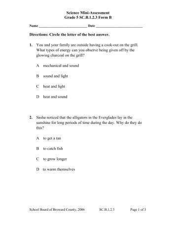 Science Mini-Assessment Grade 5 SC.B.1.2.3 Form B Directions ...