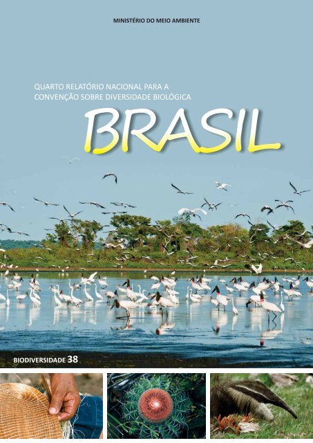 Brasil tem só um fiscal a cada 470 km² de parques e florestas - Jornal O  Globo