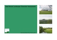 East Dorset Landscape Character Assessment - Dorsetforyou.com