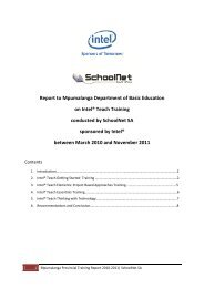 Mpumalanga Report - SchoolNet South Africa