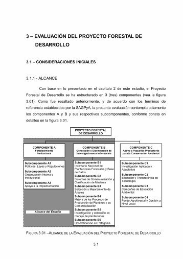 3 – EVALUACIÓN DEL PROYECTO FORESTAL DE DESARROLLO