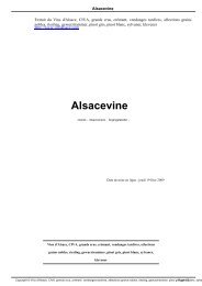 Alsacevine - Vins d'Alsace