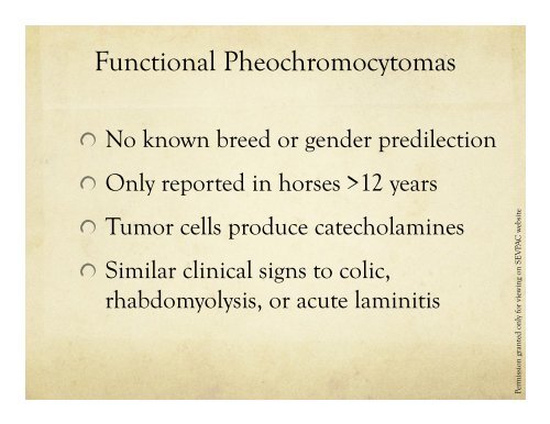 Pheochromocytoma Presentation.pptx - University of Georgia ...
