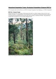 EVC 29 Damp Forest.pdf