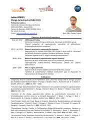 Curriculum Vitae - Institut des Sciences Chimiques de Rennes