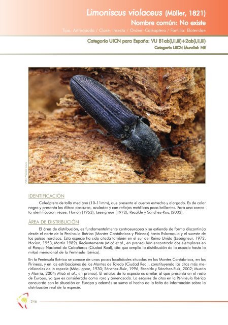 Limoniscus violaceus - Ministerio de Agricultura, AlimentaciÃ³n y ...