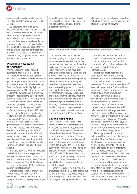 Issue 67 - British Neuroscience Association