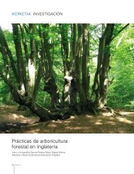 La enfermedad del chancro en eucaliptos del PaÃ­s Vasco