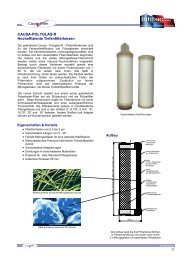 Causa-Polyglas-R Mikroglasfaser - Infiltec GmbH