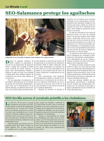 SEO-Salamanca protege los aguiluchos - SEO/BirdLife