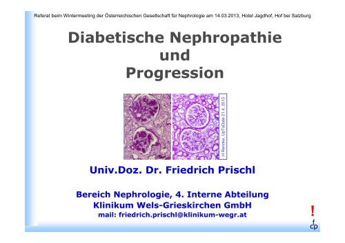 Diabetische Nephropathie und Progression - Was ist Nephrologie?