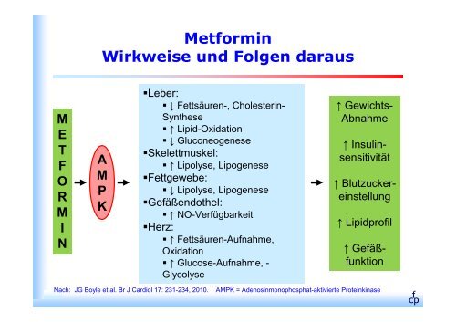 Diabetische Nephropathie und Progression - Was ist Nephrologie?