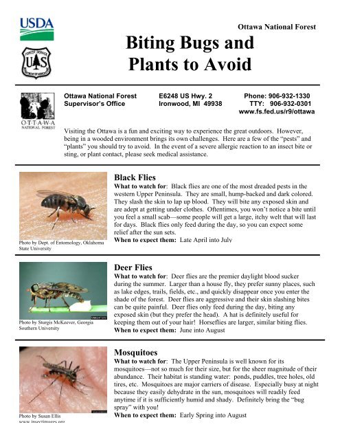 Usda Bug Biting Bugs and Plants to Avoid - USDA Forest Service - US ...
